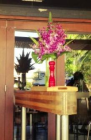 terrace_flower.jpg